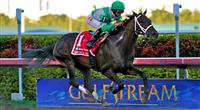 Soldat wins Fountain of Youth