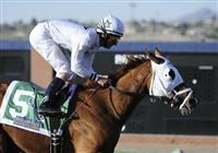 10 March 28: Endorsement (no. 5), ridden by Robby Albarado and trained by Shannon Ritter, wins the 8th running of the grade 3 Sunland Derby for three year olds at Sunland Park Racetrack in Sunland Park, New Mexico.