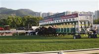 Hong Kong Cup 2011