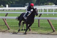 Spare Change breaking her maiden