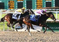 Zardana shocks Rachel Alexandra in the New Orleans Ladies at the Fair Grounds