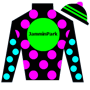 JamminPark Silks