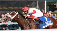 07 October 2011. #7 Stephanie's Kitten and John Velasquez win the 60th running of the Darley Alcibiades, GRI $400,000 at Keeneland Racecourse for owner/breeder Kenneth and Sarah Ramsey. This is the first Grade I winner for sire, Kitten's Joy. 