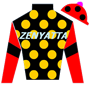 schwann Silks