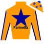 kfarinella Silks