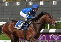 Girolamo jockey Alan Garcia winning the Jerome Stakes at Belmont Park in Elmont NY. 