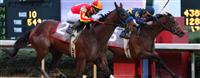 Looking at Lucky takes the Rebel by a photo over Noble's Promise