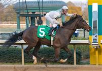 Rachel Alexandra and Calvin Borel capture the Martha Washington