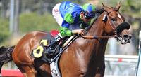Rail Trip wins the Mervin Leroy at Hollywood Park