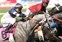 Grazen in route to winning the G2 Swaps - 2009