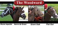 2011 Woodward contenders include Mission Impazible, Havre de Grace, Flat Out and Giant Oak