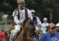 Eldaafer takes the 2009 Brooklyn