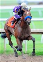 Mythical Power dominates the Lone Star Derby