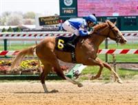Bluegrass Atatude closing from way off pace to win impressive maiden race at Pimlico.