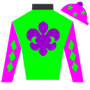 wowhorse Silks