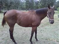 16 y/o Cutie Luttie