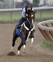 Rachel Alexandra