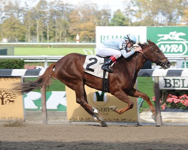 Agave Kiss breaks maiden at Belmont Park. NYRA, Adam Coglianese