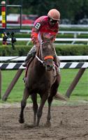 All Of Her Twist, Saratoga 2009