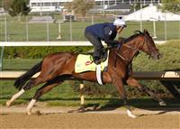 Normandy Invasion