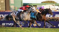 Court Vision, ridden by jockey Robby Albarado and trained by Dale Romans win the Breeders' Cup Mile at Churchill Downs on November 4, 2011..