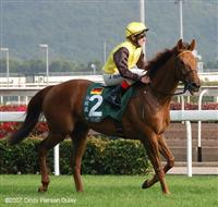 hkvase07 4a
