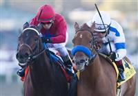 January 28, 2011. Home Sweet Aspen and Joel Rosario(rail) defeat Sugarinthemorning and Rafael Bejarano to win the Santa Monica Stakes at Santa Anita Park in Arcadia, CA. 