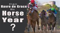 Does Havre de Grace have what it takes for score Horse of the Year?
