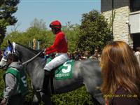 Leaving the Paddock at Keeneland