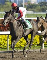 Warbling after the Hurricane Bertie Stakes