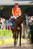 Indian Firewater before breaking her maiden at Del Mar