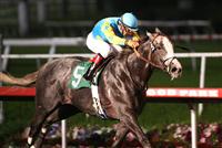Zensational wins at Hollywood Park