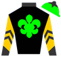 pozzulirulz Silks
