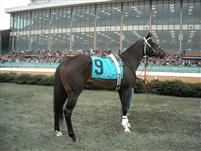 2010 Oaklawn