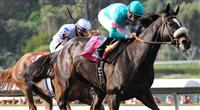 Zenyatta captures the 2010 Santa Margarita for a perfect 15 for 15