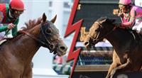 Animal Kingdom vs Caleb's Posse for Champion 3 Year Old Male