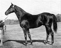 Bahram 1