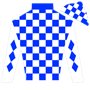 seanwins Silks
