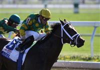 
Aikenite with Garrett Gomez up at the top of the stretch in The Toyota Bluegrass Stakes at Keeneland Race Course. 04.10.2010 