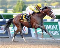 Union Rags wins 2011 Champagne. 
