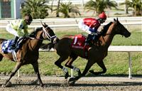 Quiet Temper in the Silverbulletday Stakes