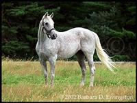 Aug 2002 1