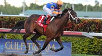 Uncle Mo cruises in the Timely Writer