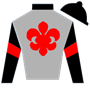 imahorsemaniac21 Silks