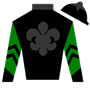 alydar278 Silks