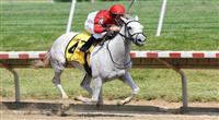 Careless Jewel and jockey Robery Landry winning The Delaware Oaks at Delaware Park in New Stanton, Delaware 