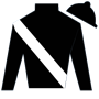 champion2011 Silks