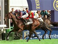 Montjeu big