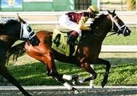 Feb 2010: Discreetly Mine and Javier Castellano lead into the first turn of the Risen Star Stakes at the Fairgrounds in New Orleans, La.
