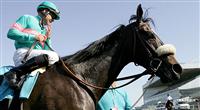 Zenyatta Nips St Trinians in Vanity